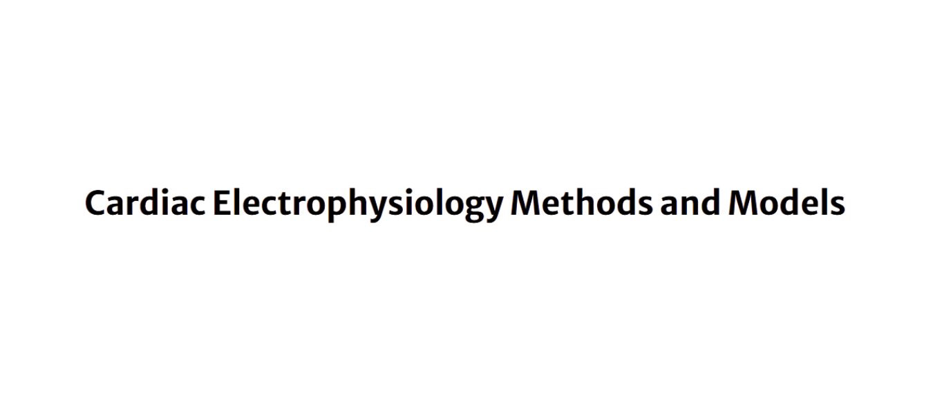 Impact of Geometric Simplifications on Cardiac Computational Models of Electrophysiology to Assess Cardiac Resynchronization Therapy interaction models against 4D flow MRI data 