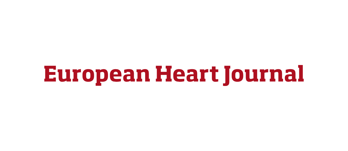 A pipeline for developing digital cardiac twins integrating cardiovascular magnetic resonance and electrocardiographic imaging: results from the MyoFit46 study 
